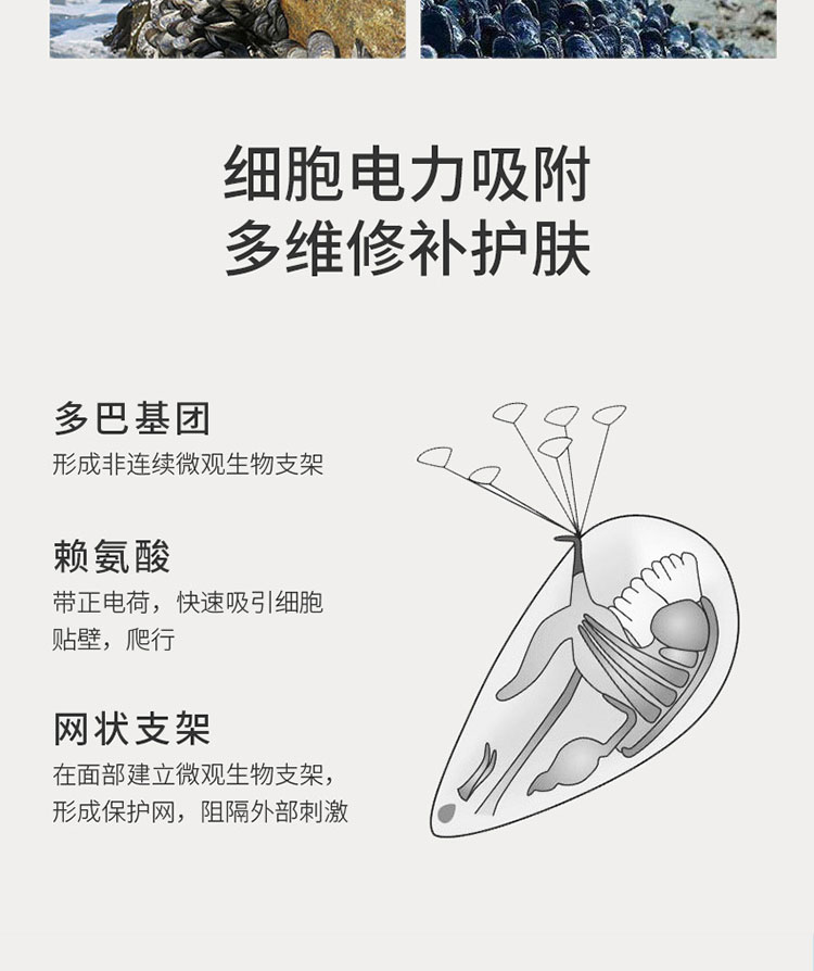 [field:text/]